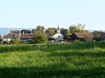 Cartigny